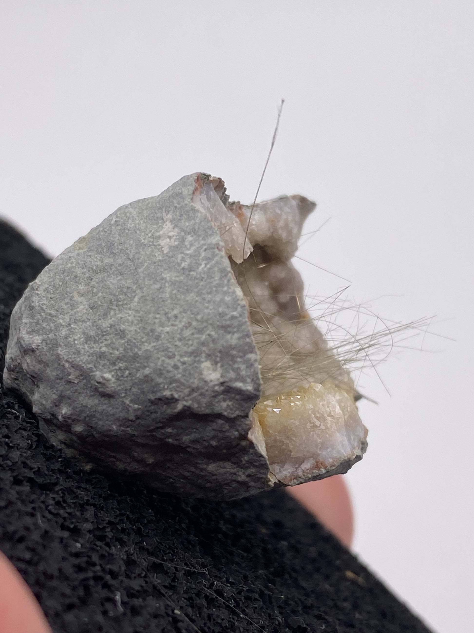 A hand is holding a rough, grey geode from The Crystalary's Millerite collection, sourced from Halls Gap in Lincoln County, Kentucky. The geode has a partially open surface that reveals its characteristic crystalline interior. Fine, hair-like crystals of Halls Gap Millerite extend from the nickel-rich matrix inside the geode. The background is plain and white.