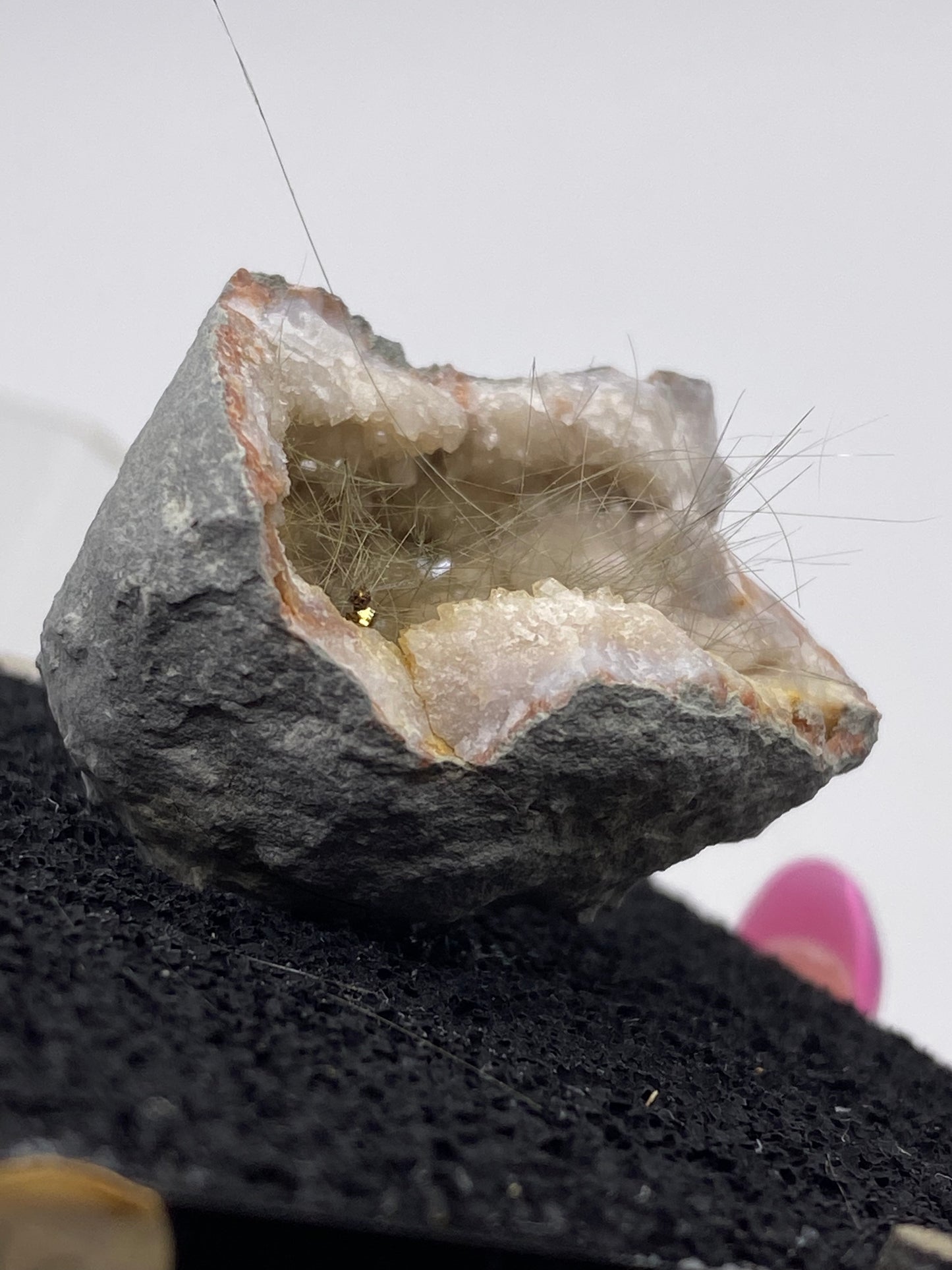 A close-up of The Crystalary's Millerite from Halls Gap, Lincoln Co., Kentucky displayed on a black textured surface. The rock is partially open, revealing delicate, hair-like structures inside reminiscent of the Halls Gap Millerite. The exterior appears rough and gray, while the interior showcases crystalline formations with a small, shiny golden part.