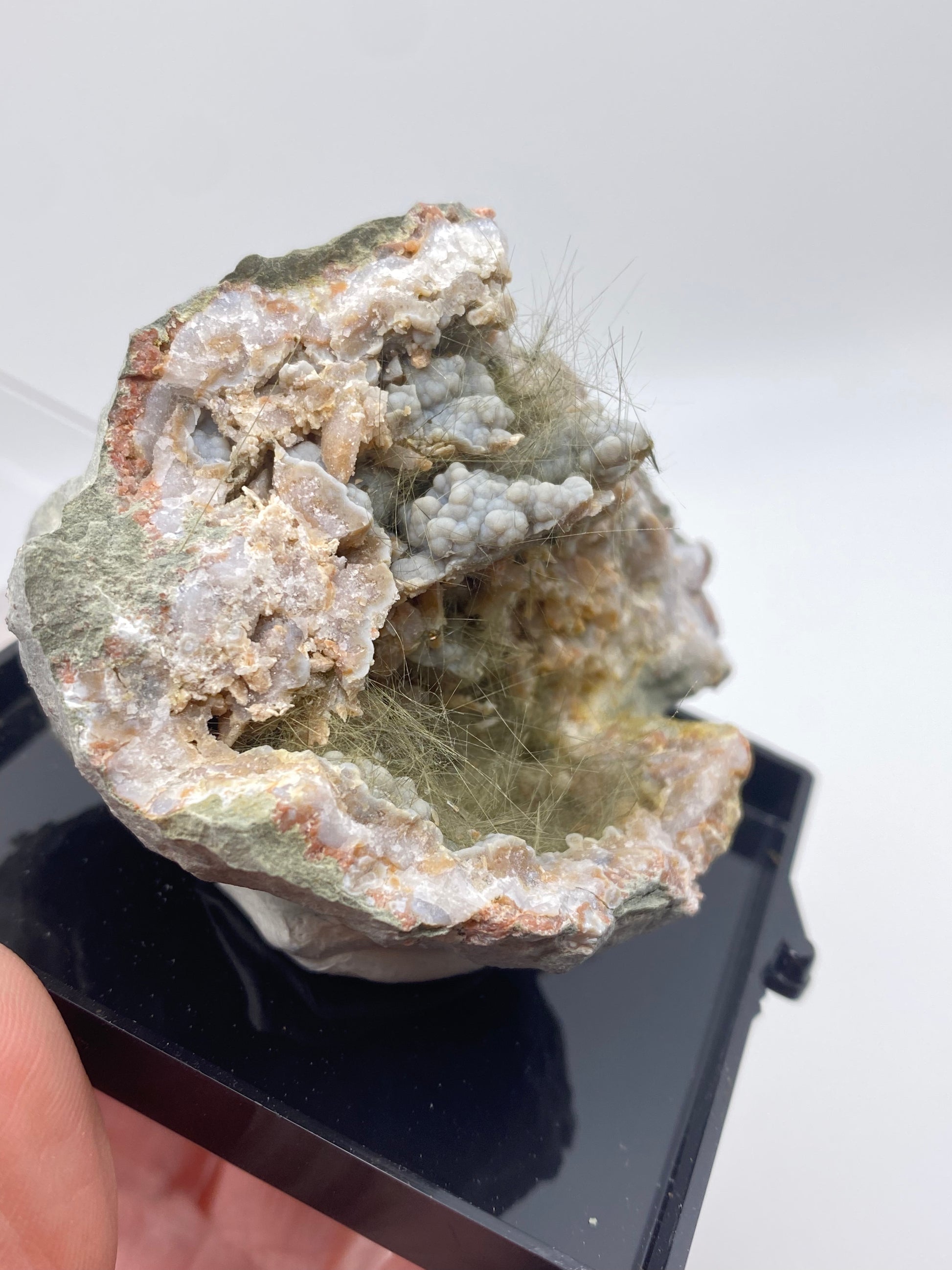 A close-up image of a hand holding a mineral specimen. The mineral, part of a nickel-rich matrix, has a rough, rocky exterior with a cavity filled with pale blue-gray crystalline formations and delicate, hair-like fibrous structures. Labeled as Millerite, Pyrite, Chalcedony from Halls Gap in Lincoln Co., Kentucky, this exquisite piece from The Crystalary is displayed on a black stand against a white background.