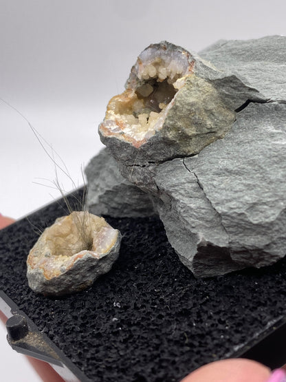 Close-up of The Crystalary's Millerite and Quartz geodes from Halls Gap, Lincoln Co., Kentucky, displayed on a black textured base. The larger geode boasts a grayish hue with a crystal-lined cavity set in a nickel-rich matrix. Positioned in front, the smaller geode features exquisite needle-like crystals emanating from its crystal-coated interior, reminiscent of classic Halls Gap Millerite specimens.