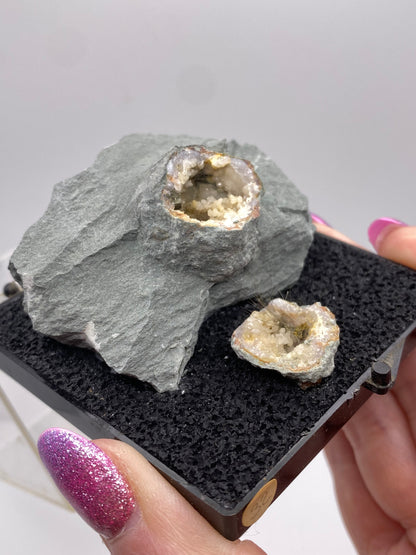 A person with sparkly pink nails holding a grey rock split in two, revealing crystalline Kentucky geodes inside, displayed on a black foam surface with a clear stand. The product is the Millerite, Quartz-Halls Gap from Lincoln Co., Kentucky by The Crystalary.