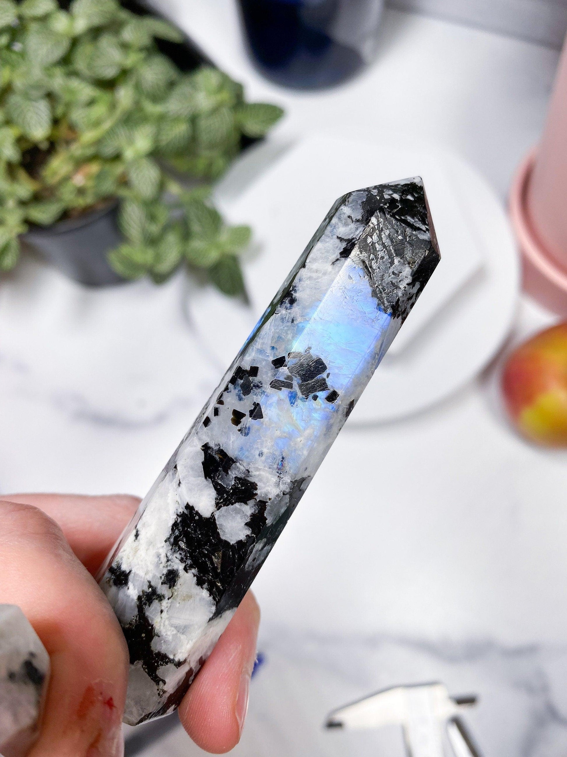 A hand holds an intuitively chosen Moonstone Crystal Point from The Crystalary, featuring polished, 8-sided points and a mix of white, black, and iridescent blue colors. In the background, a leafy green plant and various objects rest on a white surface, including a pink item.