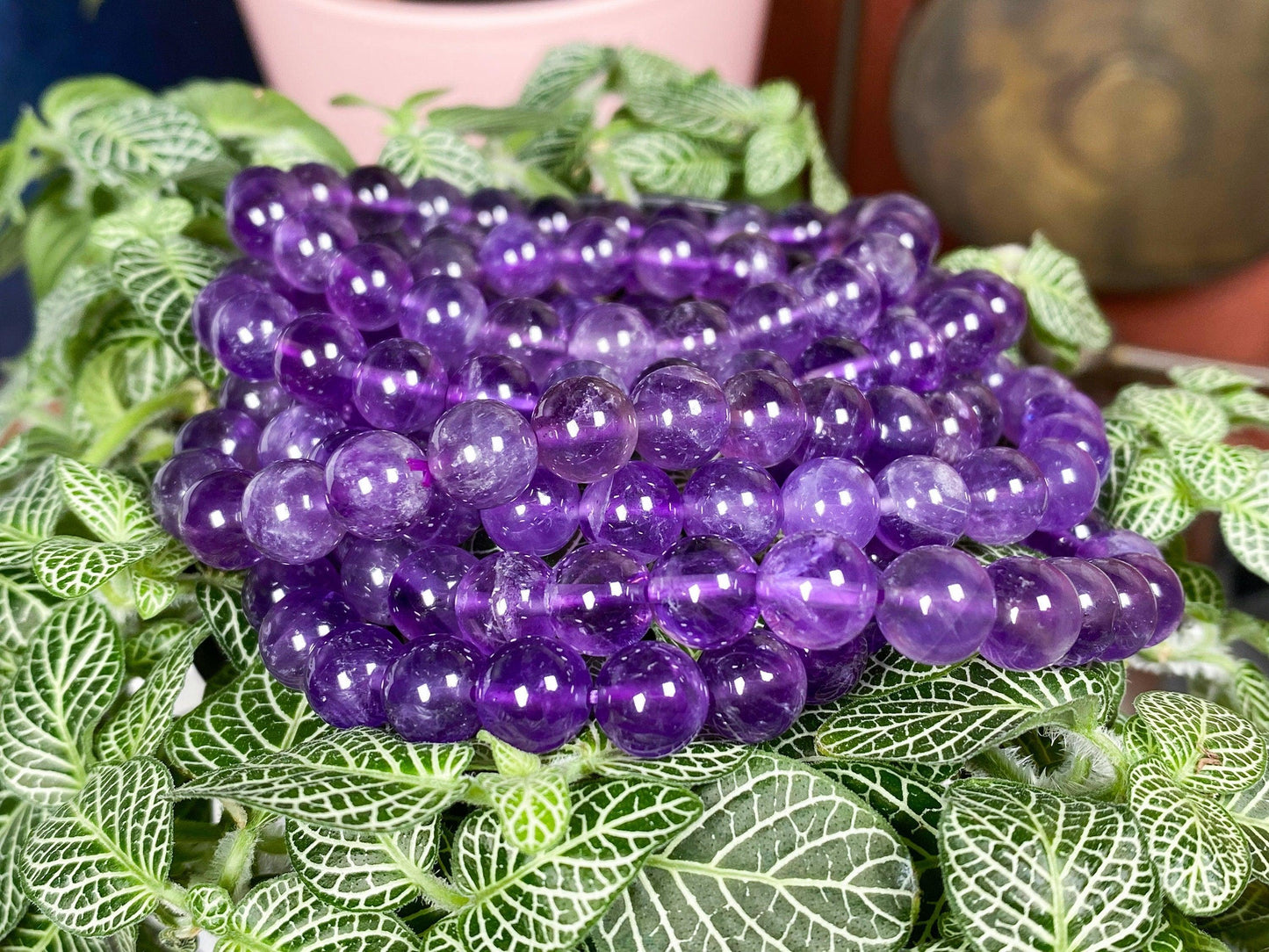 A set of The Crystalary's Natural Amethyst Crystal Bracelets is elegantly arranged on lush, green foliage with distinct, white-veined leaves. The gemmy amethyst reveals its deep purple hue, offering a striking contrast against the vibrant greenery. A blurred background adds depth to the scene.