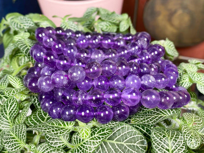 A Natural Amethyst Crystal Bracelet from The Crystalary, with its vibrant purple beads resembling gemmy amethyst, rests on a bed of green and white-veined leaves. The spherical, glossy beads reflect the light beautifully, creating a striking contrast against the lush foliage beneath them.