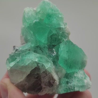 Fluorite- El Papiol, Sant Cugat del Valles, Provincia de Barcelona, Catalunya, Spain, sku 805