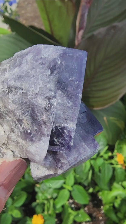 Fluorite, Purple Rain Pocket, Fairy Hole Vein, Lady Annabella Mine, Eastgate, Weardale, Co. Durham, England, UK