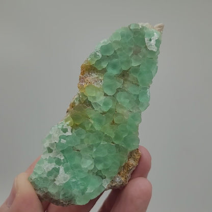 Fluorite- El Papiol, Sant Cugat del Valles, Provincia de Barcelona, Catalunya, Spain, sku 806