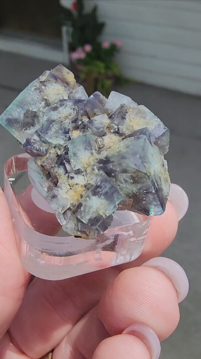 Fluorite Miniature-Hidden Forest Pocket, Diana Maria Mine, Frosterly Weardale, Co. Durham,  England