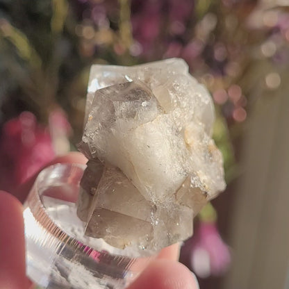 Fluorite- Bull Vein, Lady Annabella, Co. Durham, England