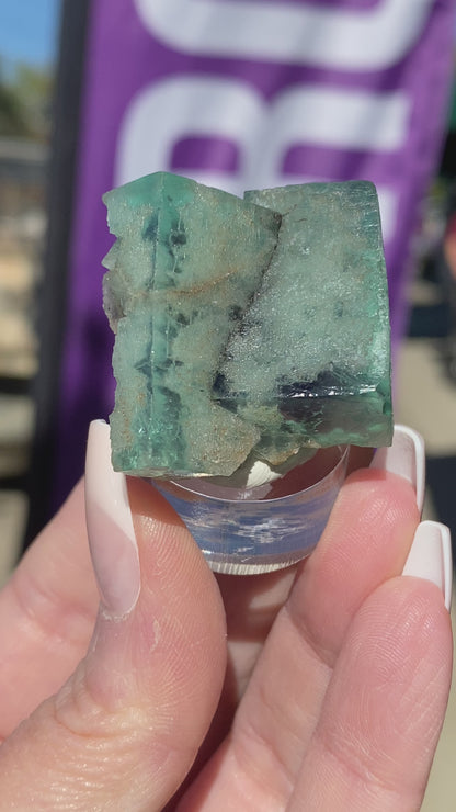 Fluorite- Minty Cheesecake Pocket, Lady Annabella Mine, Eastgate, Weardale, Co. Durham, England, sku 3022