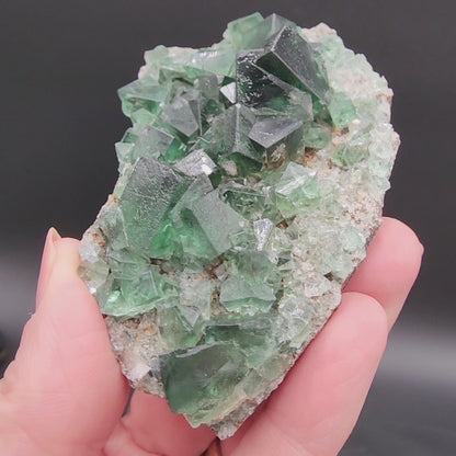 Fluorite- Greedy Hog Pocket, Diana Maria, Co. Durham, England