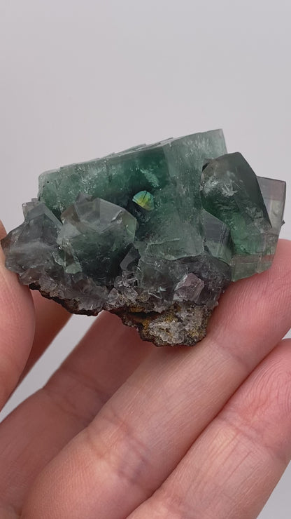 Fluorite- Rainbow's End Pocket, Lady Annabella, Co Durham, UK