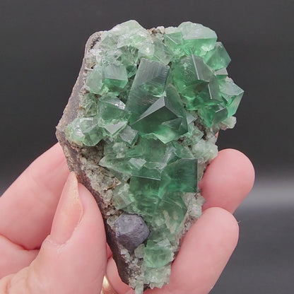 Fluorite- Greedy Hog Pocket, Diana Maria, Co. Durham, England