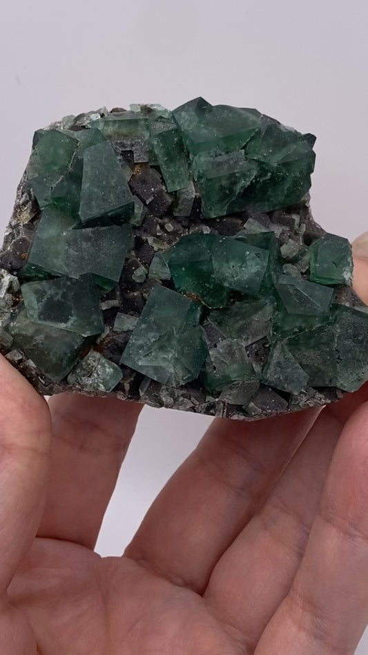 Fluorite- Greedy Hog pocket, Diana Maria Mine, Co Durham, UK