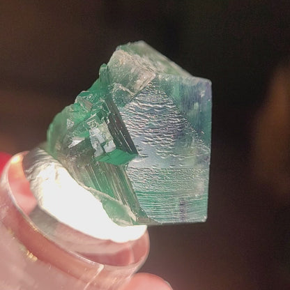 Fluorite- Excavator Terminator, Lady Annabella, Co. Durham, England