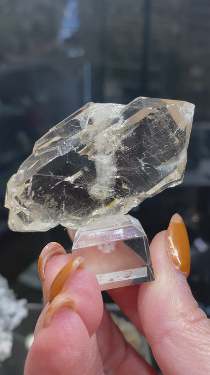 Quartz, var. Faden- Mont Blanc Massif northwest flank, Auvergne-Rhône-Alpes, France, sku3008