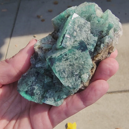 Fluorite- Fluorite- Toxic Apple Pocket, Poison Ivy, Lady Annabella Mine, Eastgate, Weardale, Co Durham, UK, sku3873