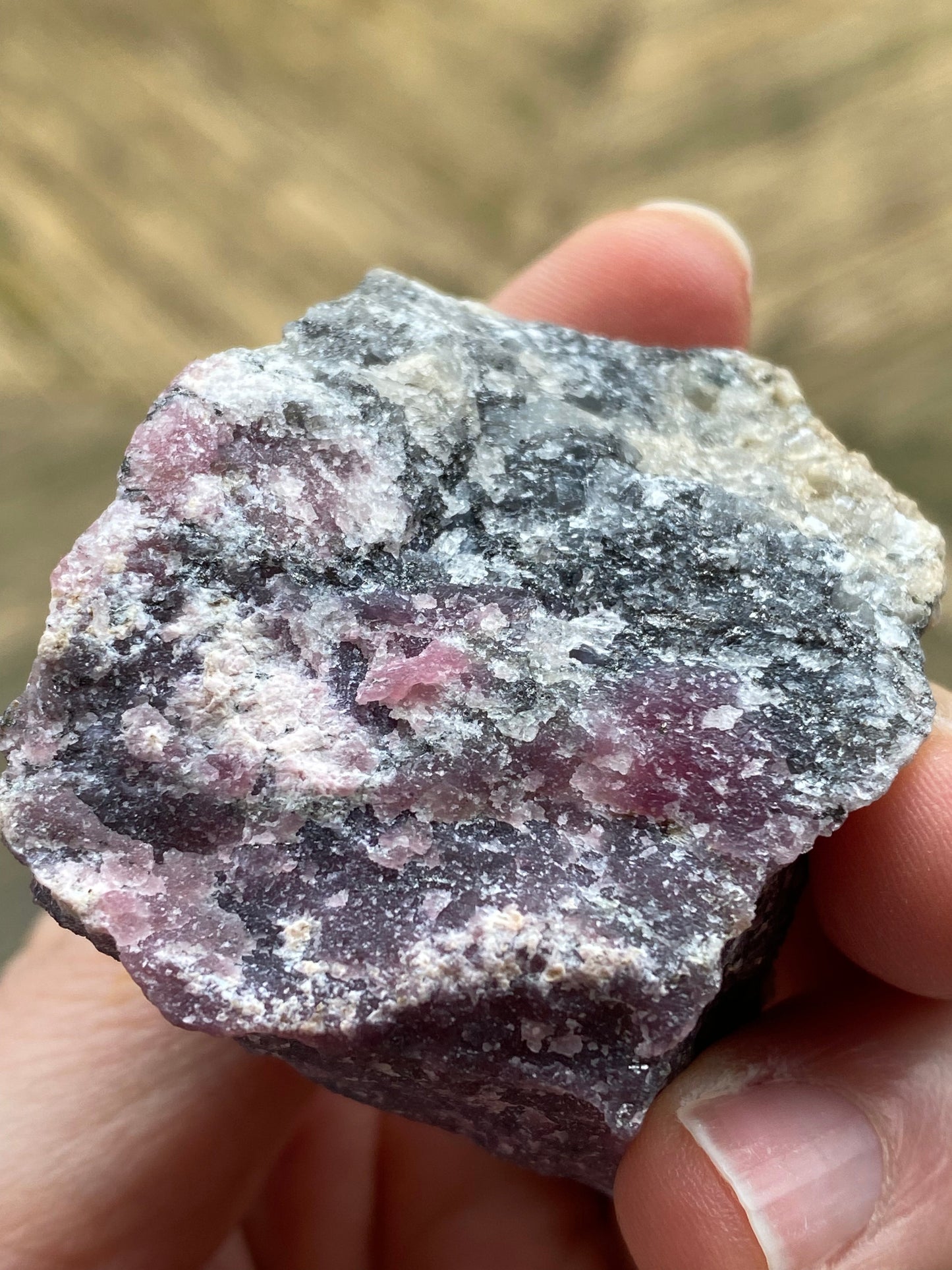 A close-up photo of a hand holding a **Purpurite, Maine** mineral specimen from **The Crystalary**, weighing 105 grams. This rough stone, featuring an array of dark purple, light pink, gray, and white sections, displays a gritty texture with visible crystalline formations against the blurred background.