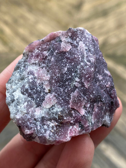 A hand holding a rough, unpolished raw Purpurite specimen from The Crystalary, with a predominantly purplish hue. Weighing 105 grams, the "Purpurite, Maine" rock features a mix of dark purple, light pink, and white crystalline segments that reveal a textured surface. The background is blurred and earthy toned.