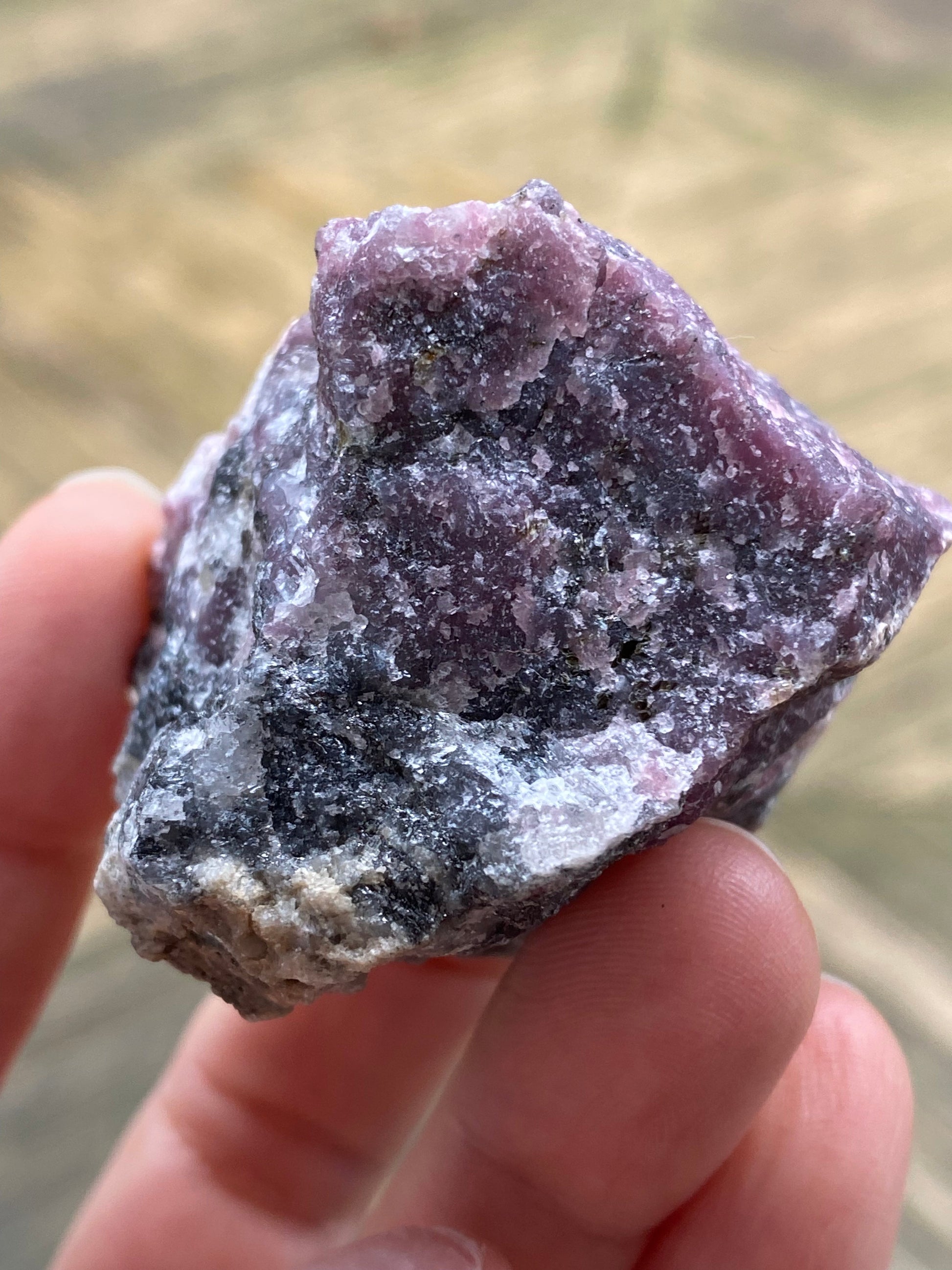 A close-up photo of a hand holding an unpolished mineral—Purpurite from Maine by The Crystalary. The mineral exhibits a natural mix of purple, white, and black sections, highlighting its raw texture and crystalline structure. Weighing 105 grams, the blurred background emphasizes the striking specimen.