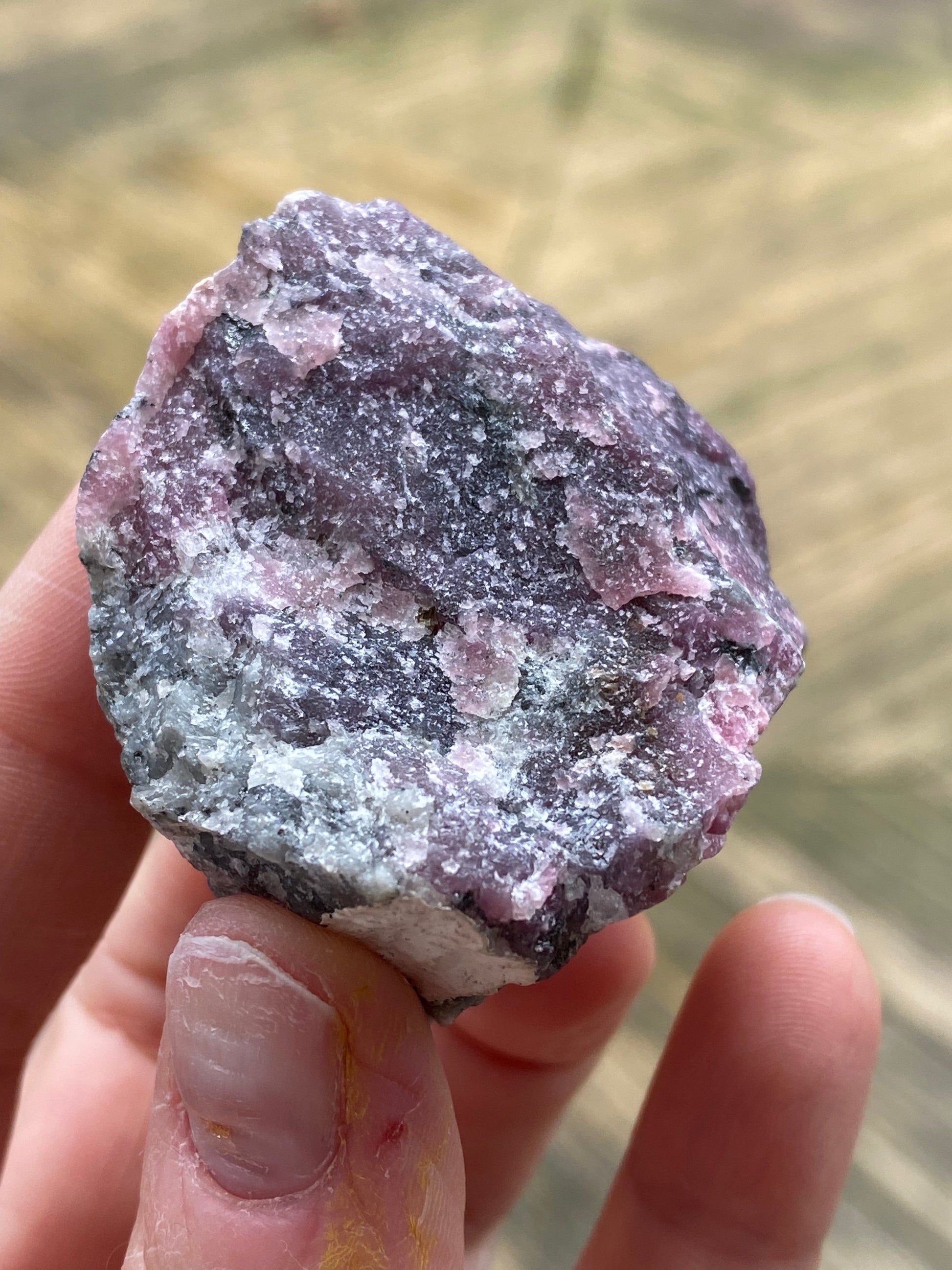 A hand holding a raw Purpurite mineral specimen from The Crystalary, showcasing shades of purple, pink, and white. Weighing 105 grams, the Purpurite sits against a blurred background of green and brown hues, suggesting an outdoor setting in Maine.