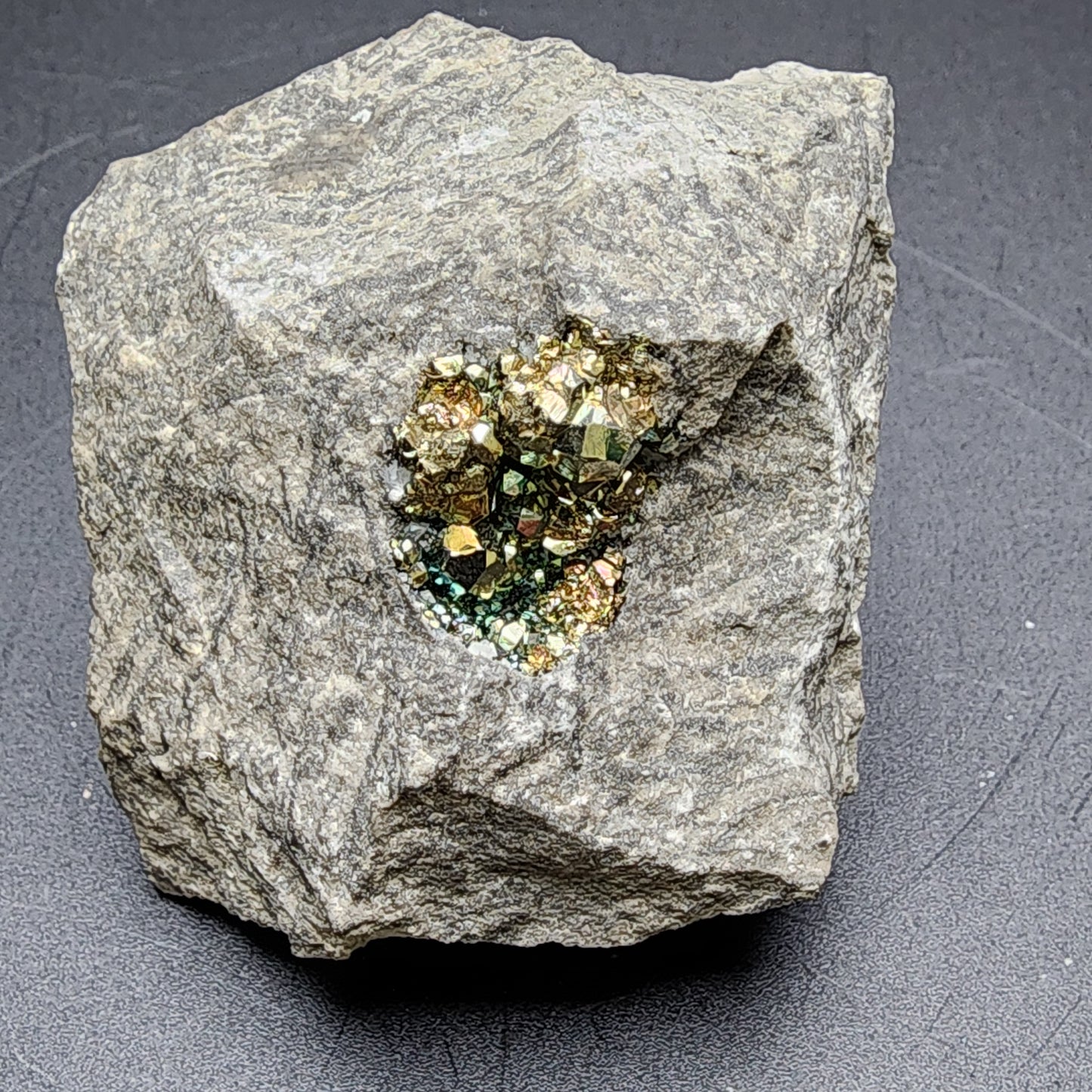 A rough gray rock with a small cavity revealing lustrous, gold-colored rare diploid pyrite crystals nestled inside from The Crystalary's Pyrite collection. This self-standing piece, originating from C. E. Duff & Son Quarry in Huntsville, Logan Co., Ohio, USA, rests on a dark, flat surface.