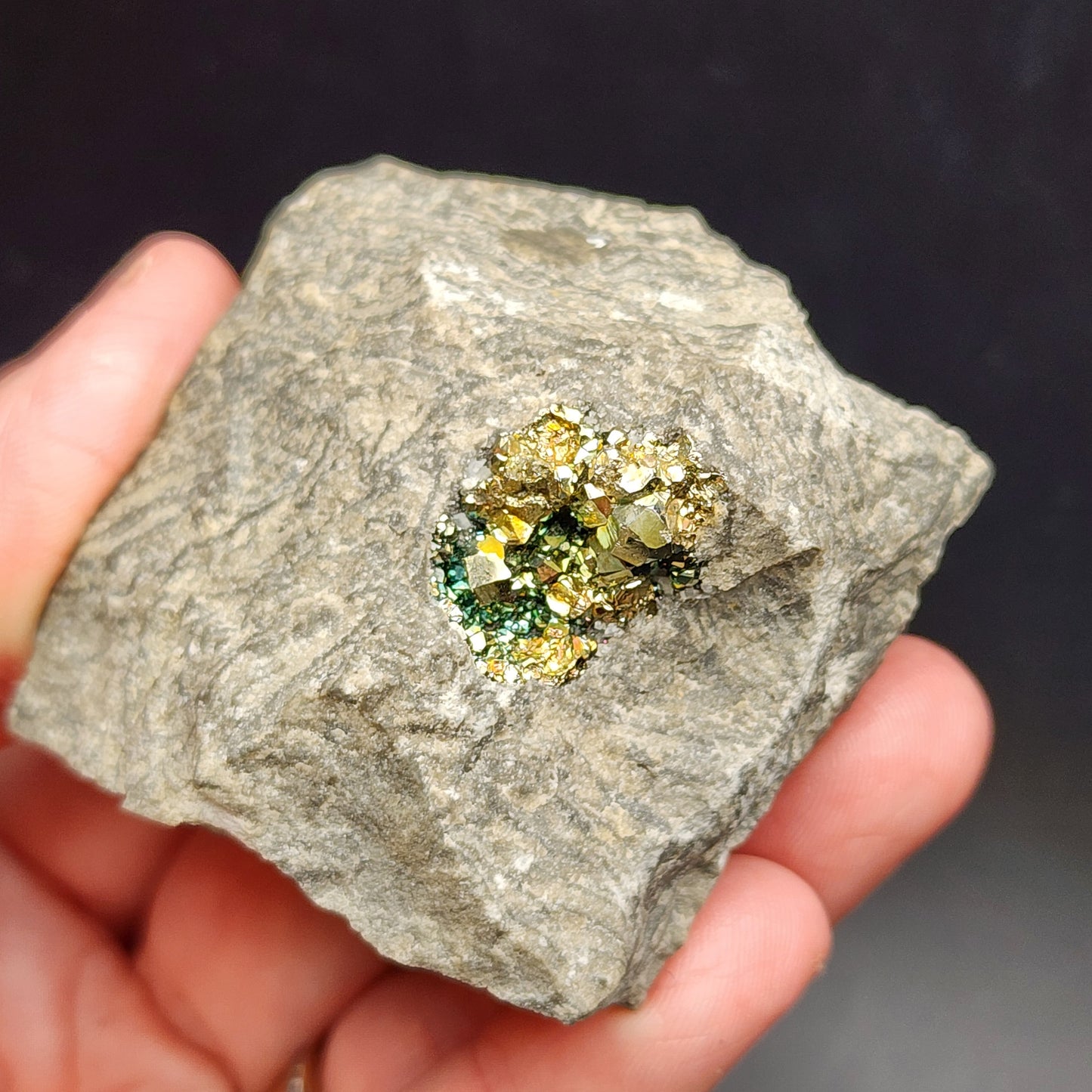 A hand holding a rough piece of rock showcases a cluster of iridescent pyrite crystals from the C. E. Duff & Son Quarry in Huntsville, Logan Co., Ohio, USA. The crystals, branded by The Crystalary, display a variety of colors including gold, green, and silver with a reflective quality. The dark background enhances the crystal's brightness, making this self-standing piece truly mesmerizing.