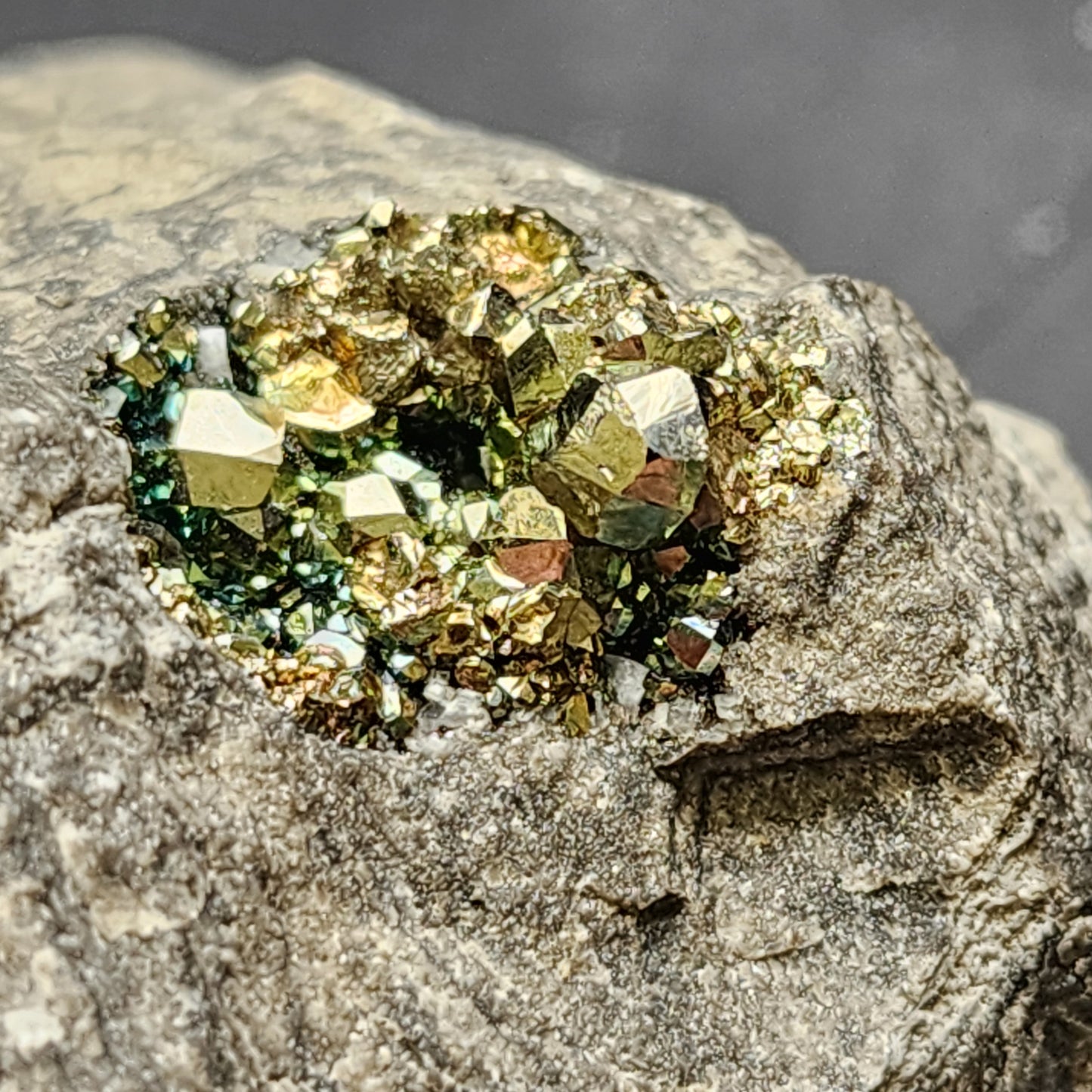 Close-up of a rock with a cluster of shiny, metallic crystals embedded in it. The iridescent pyrite crystals from The Crystalary's Pyrite collection, sourced from C. E. Duff & Son Quarry in Huntsville, Logan Co., Ohio, USA, display various hues of gold, green, and yellow. They reflect light and create a sparkling effect against the rough and textured surrounding rock.