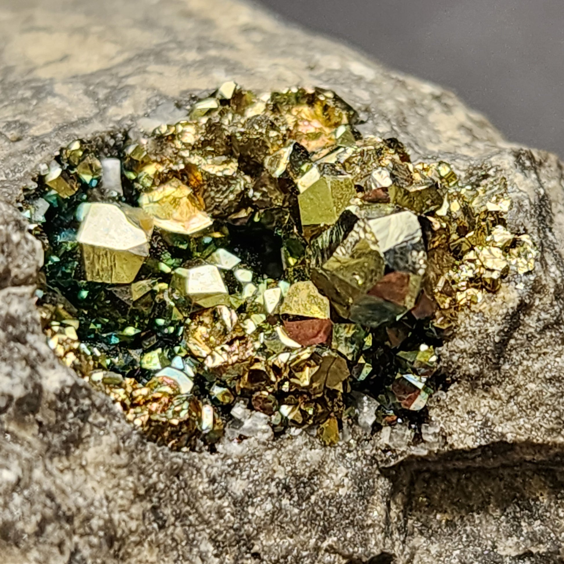 Close-up image of a rock from Pyrite-C. E. Duff & Son Quarry, Huntsville, Logan Co., Ohio, USA with a cluster of shiny, iridescent pyrite crystals embedded in it. The crystals exhibit a gold and greenish hue with varying sizes, creating a striking contrast against the rough, gray rocky surface around them. Available from The Crystalary.