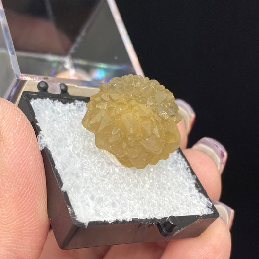 A person holds a small display case with a hexagonal, yellowish crystal formation inside. The Quartz-Citrine Stars from The Crystalary, sourced from Kasba Oulad el Bekri, Missour, Boulemane, Fes-Meknes in Morocco, exhibit a spiky and intricate surface. This Moroccan treasure rests on a white, textured base and stands out vividly against the dark background.