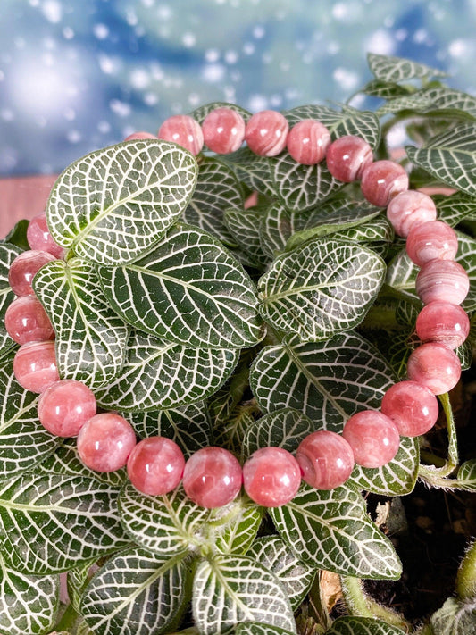 A pink Rhodochrosite Crystal Bracelet from The Crystalary is delicately placed atop lush green leaves with striking white veins. In the background, a soft blur of blue and white lights creates a bokeh effect, fostering a tranquil and aesthetically pleasing atmosphere that epitomizes self-love.