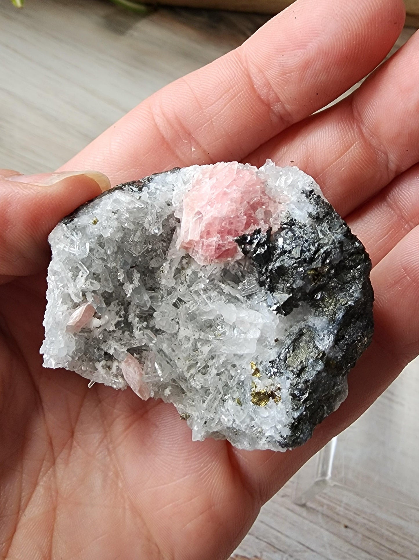 A hand is holding a mineral specimen from The Crystalary, named Rhodochrosite, Quartz, Guangxi, China. The specimen has a coarse texture with white and gray crystals and a few pink, translucent crystals. The background is a light wooden surface.