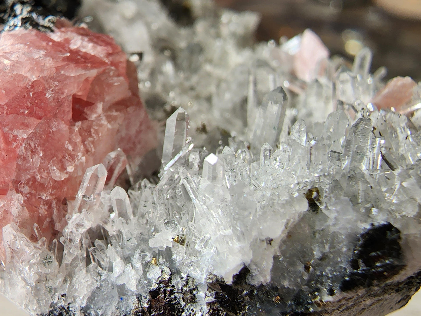 A close-up of the Rhodochrosite from The Crystalary, showcasing the intricate patterns and hues, with a stunning needle quartz formation emerging from its surface.