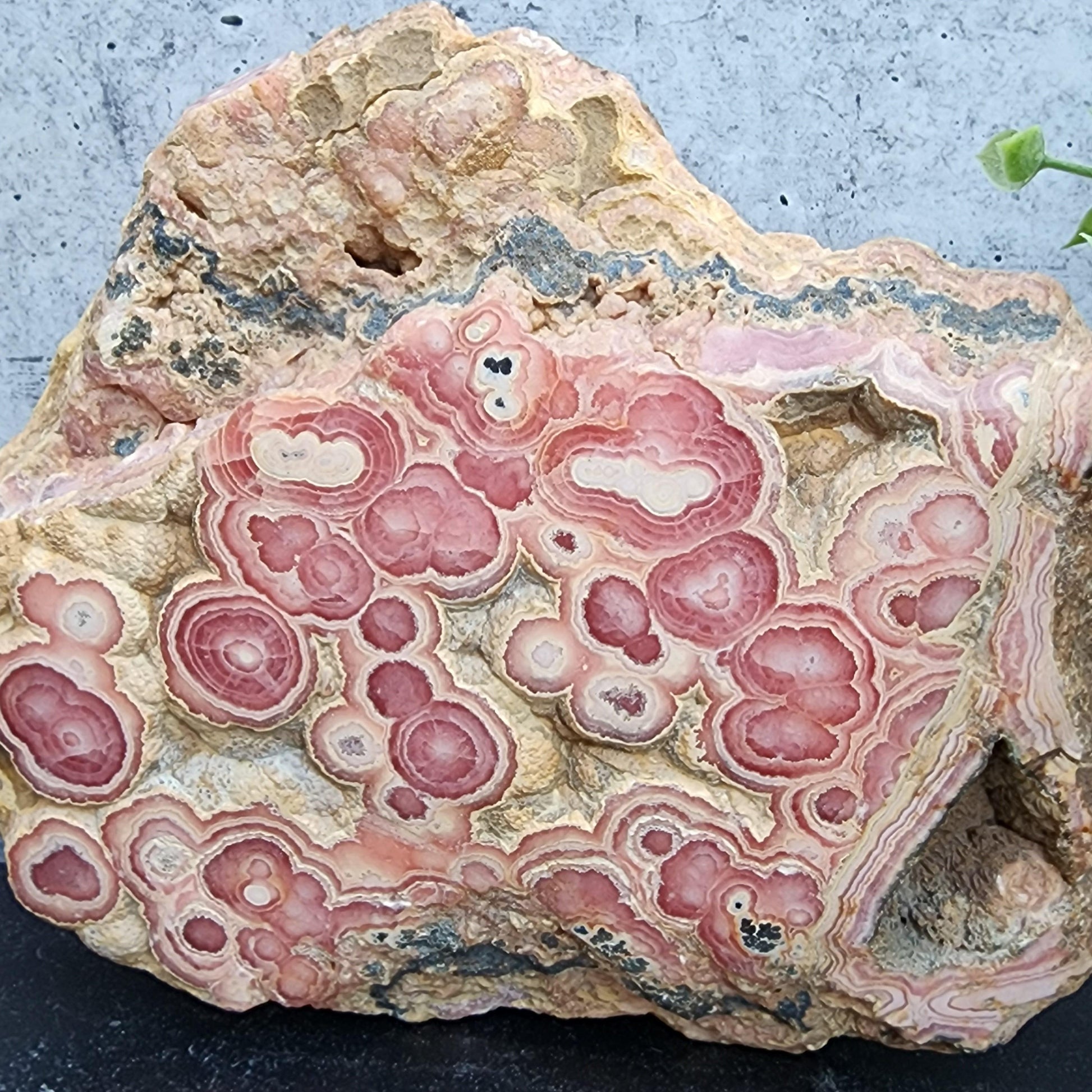 Rhodochrosite Slab, Stalactite.  - - The Crystalary