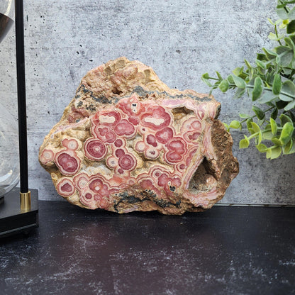 Rhodochrosite Slab, Stalactite.  - - The Crystalary