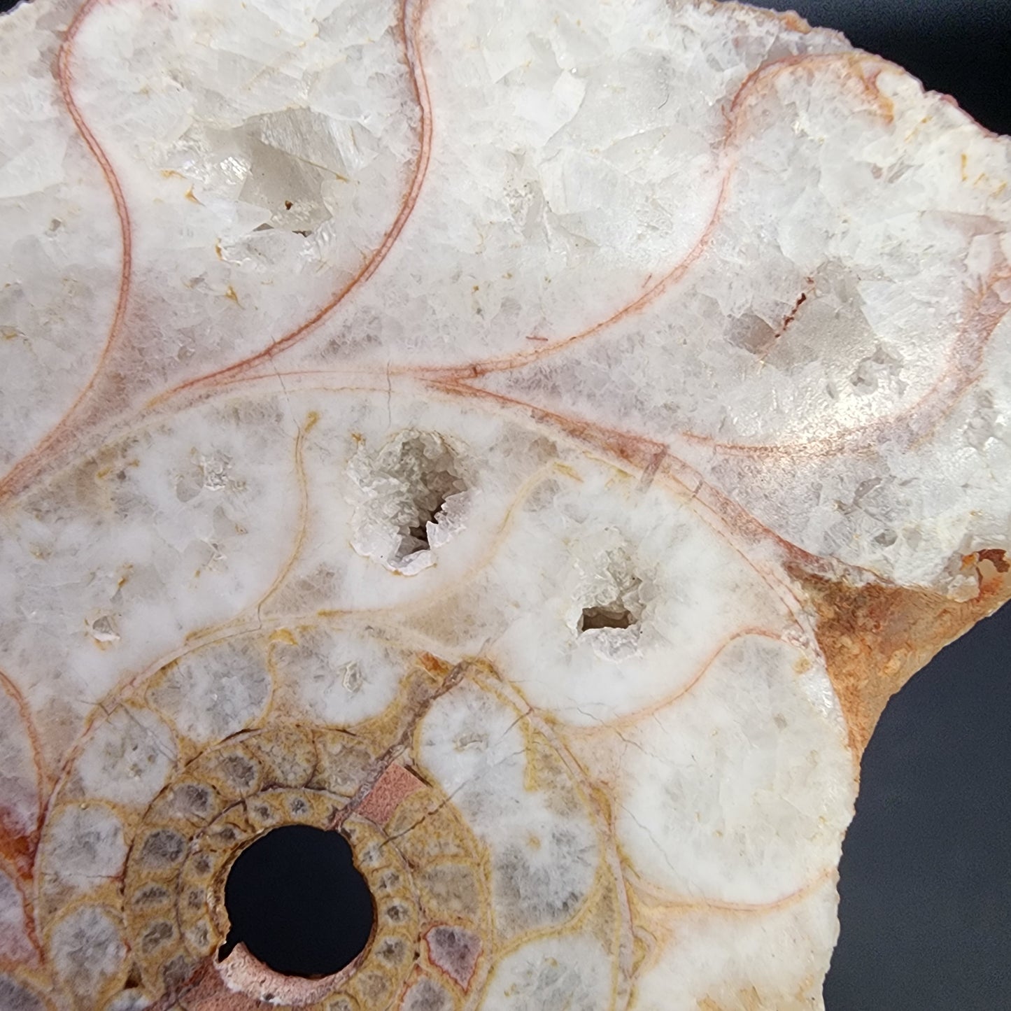 Fossil- Ammonite Pair- Indonesia, sku 3053