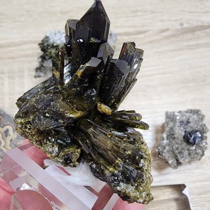 In a person's hand is a cluster of dark, glossy crystal formations on a mineral base from The Crystalary's LIVE- KarenUllrich- 10/3/2024 collection. Beneath it is a wooden surface, subtly adorned with other mineral specimens in the background.