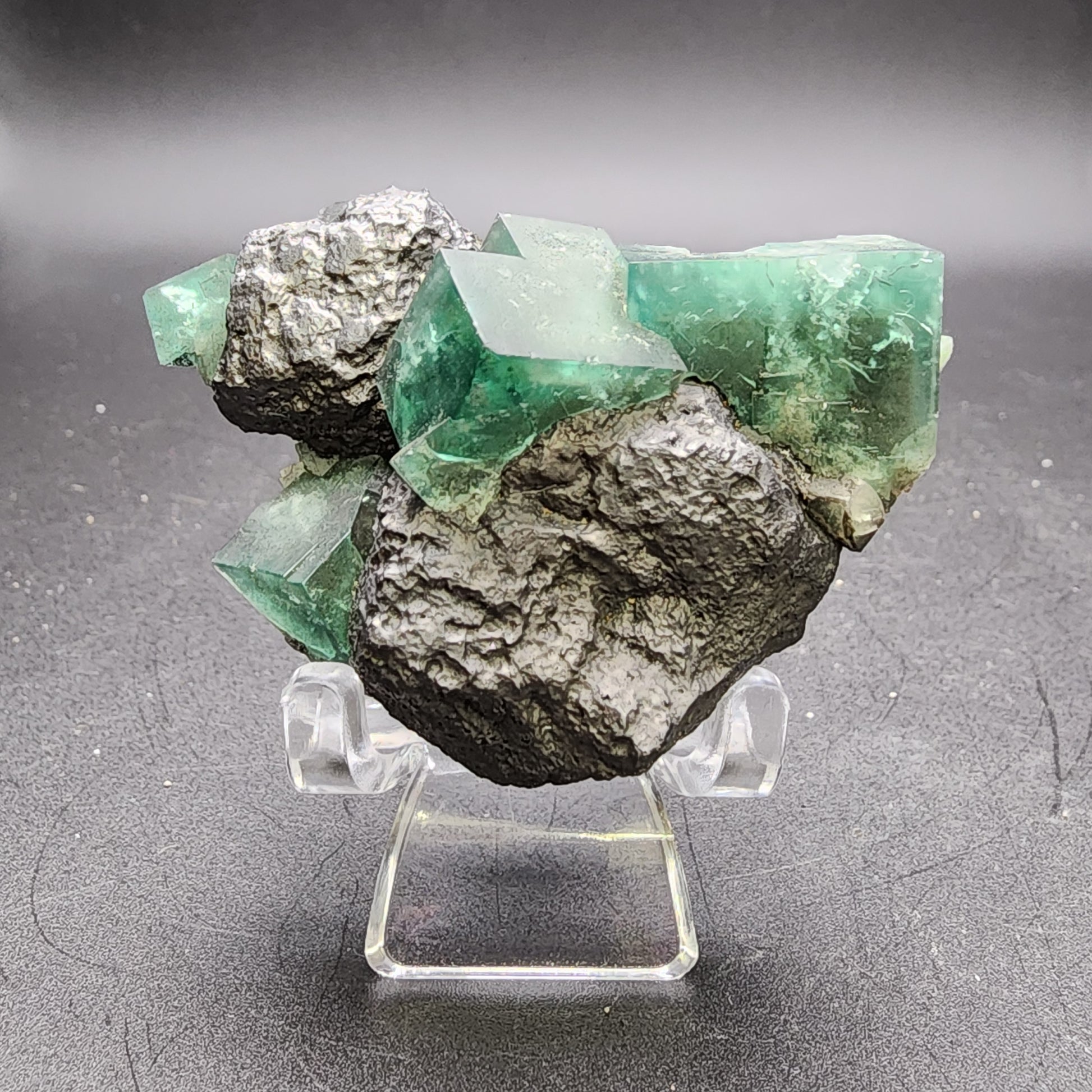 From The Crystalary, the "Fluorite and Galena- Greedy Hog pocket" display (sku 3068) features a cluster of green fluorite crystals from the renowned Diana Maria Mine in Co Durham, UK. These translucent, glassy crystals are set against a dark gray galena mineral matrix atop a clear acrylic stand with a black backdrop.