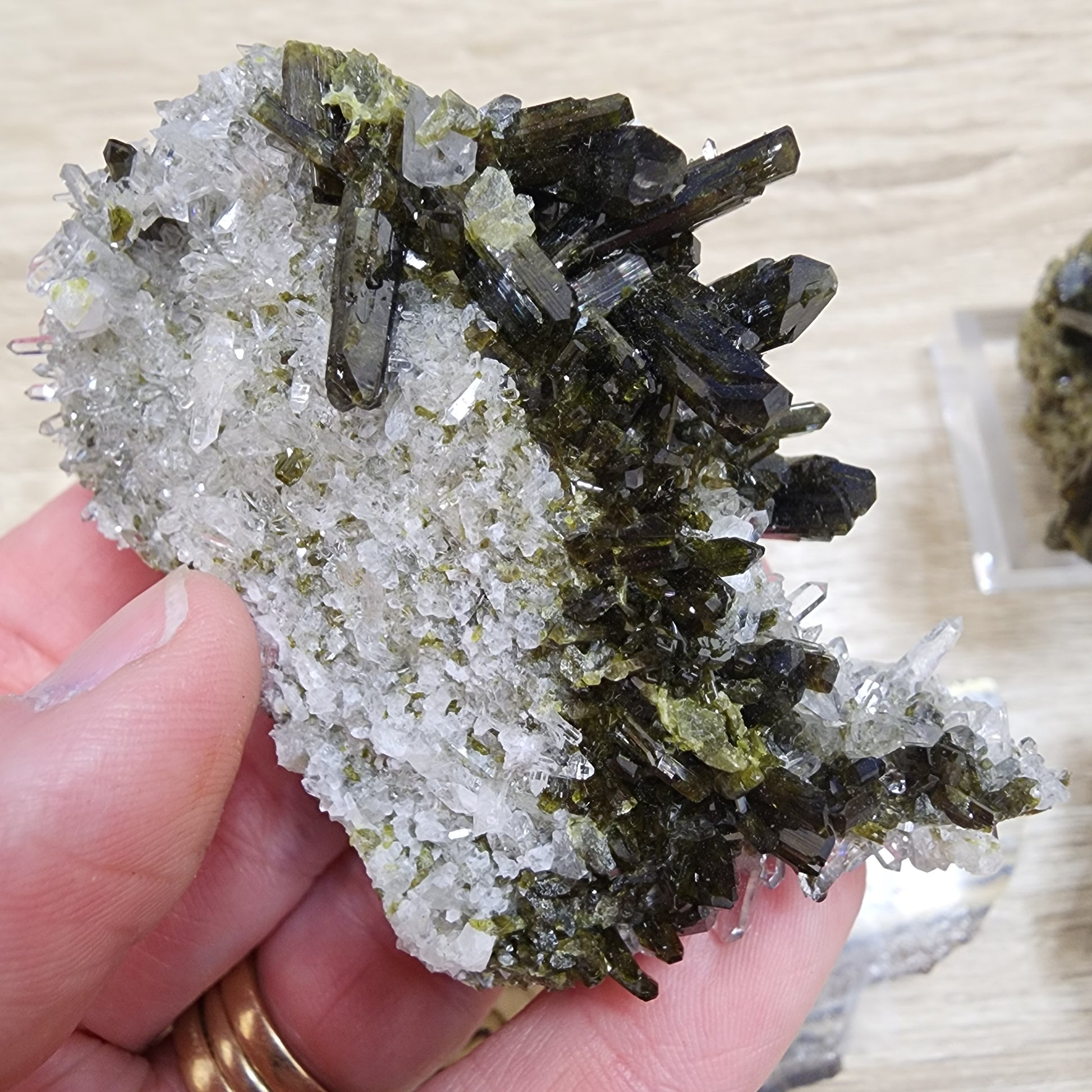 A person holds an eye-catching specimen from The Crystalary, the LIVE- KarenUllrich- 10/3/2024, featuring dark green prismatic crystals of Epidote mixed with clear, sparkling quartz. The distinct textures and colors are beautifully highlighted against the person's hand.