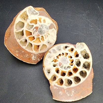 Fossil- Ammonite Pair- Indonesia, sku 3052