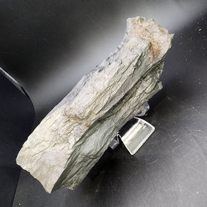 Fossil- Black Petrified Wood- Arizona, sku 3057