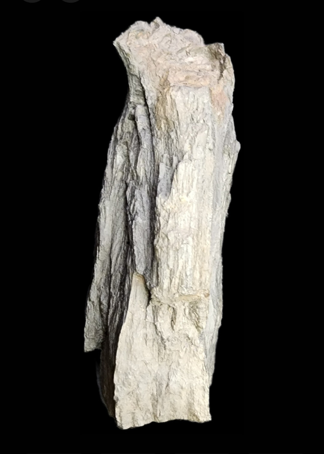 Fossil- Black Petrified Wood- Arizona, sku 3057