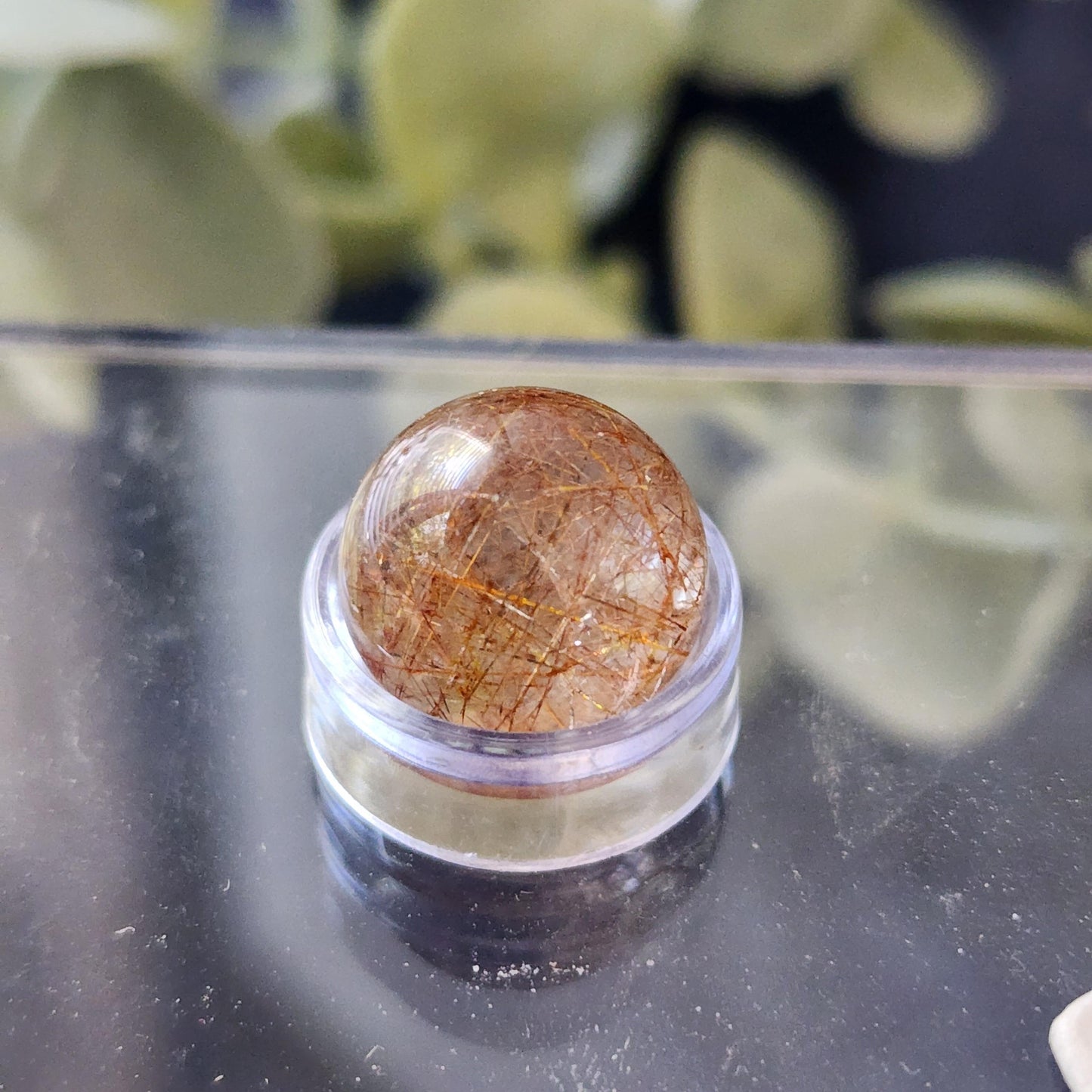 A Rutile Quartz mini sphere 13mm by The Crystalary is showcased in a small, clear container. This semi-transparent gemstone, noted for its use as polished crystals or worry stones, features visible red-brown needle-like inclusions. The background is blurred with green hues, possibly highlighting some leaves.