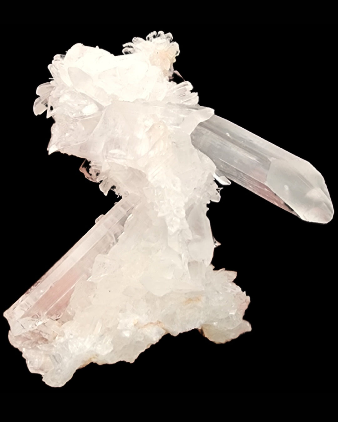 A cluster of transparent and translucent selenite crystals from the Naica Mine in Chihuahua, Mexico, intersect at various angles. Marketed by The Crystalary, these well-formed crystals with sharp terminations create a striking geometric appearance against a black background.