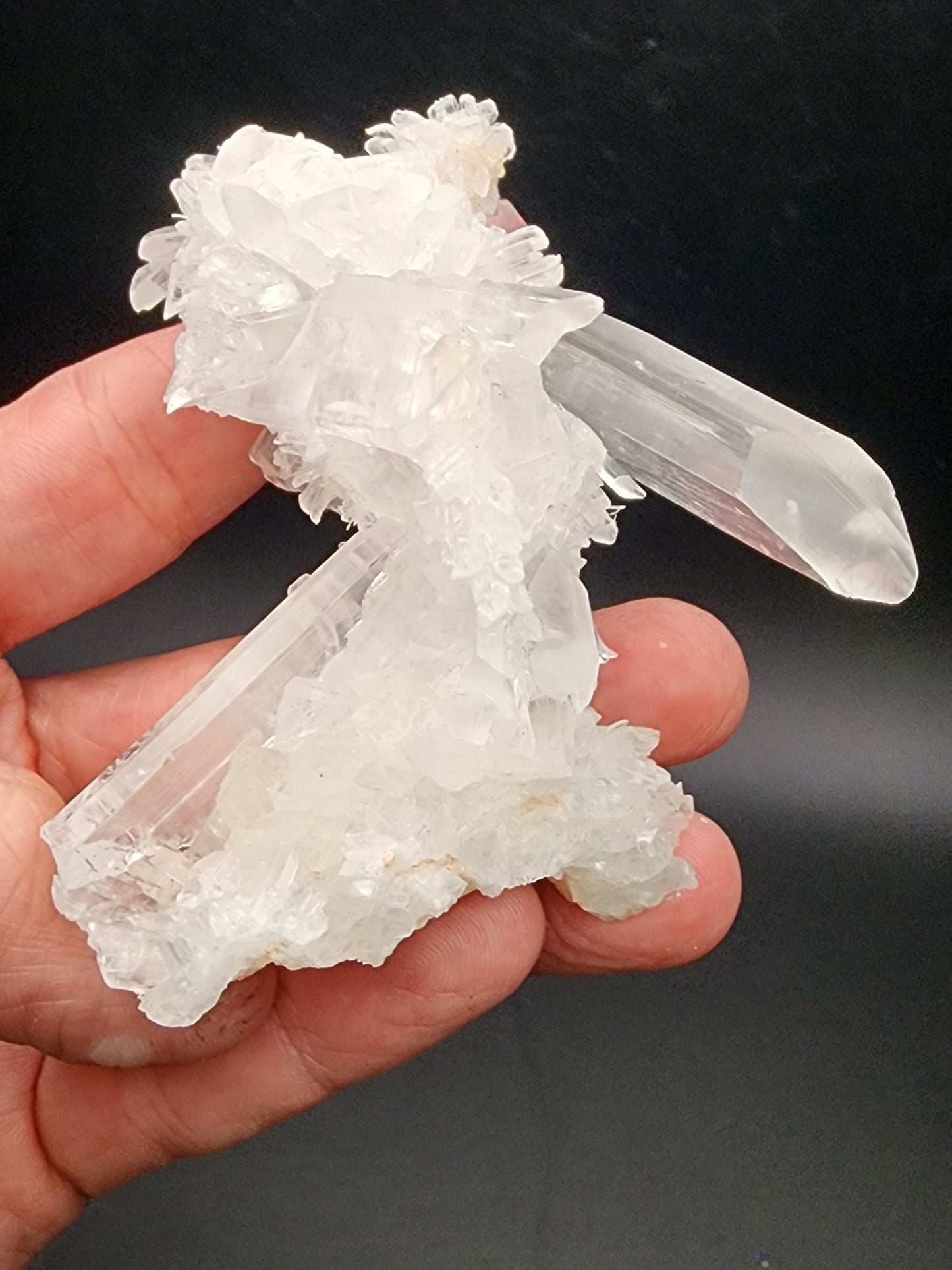 A hand holds a cluster of clear quartz crystals against a dark background. The crystals are elongated and translucent, with intricate formations of smaller crystal structures attached, reminiscent of the magnificent Selenite from the Naica Mine, Naica, Saucillo Municipality, Chihuahua, Mexico offered by The Crystalary.