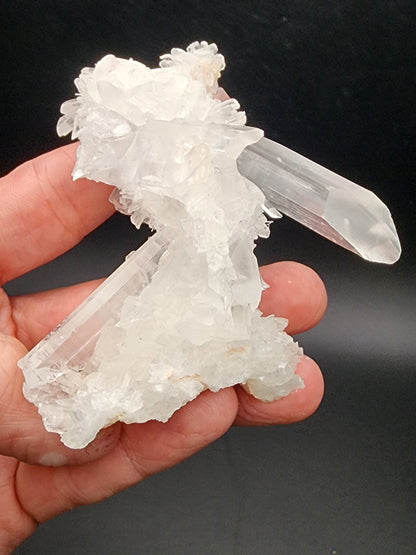 A hand holds a cluster of clear quartz crystals against a dark background. The crystals are elongated and translucent, with intricate formations of smaller crystal structures attached, reminiscent of the magnificent Selenite from the Naica Mine, Naica, Saucillo Municipality, Chihuahua, Mexico offered by The Crystalary.