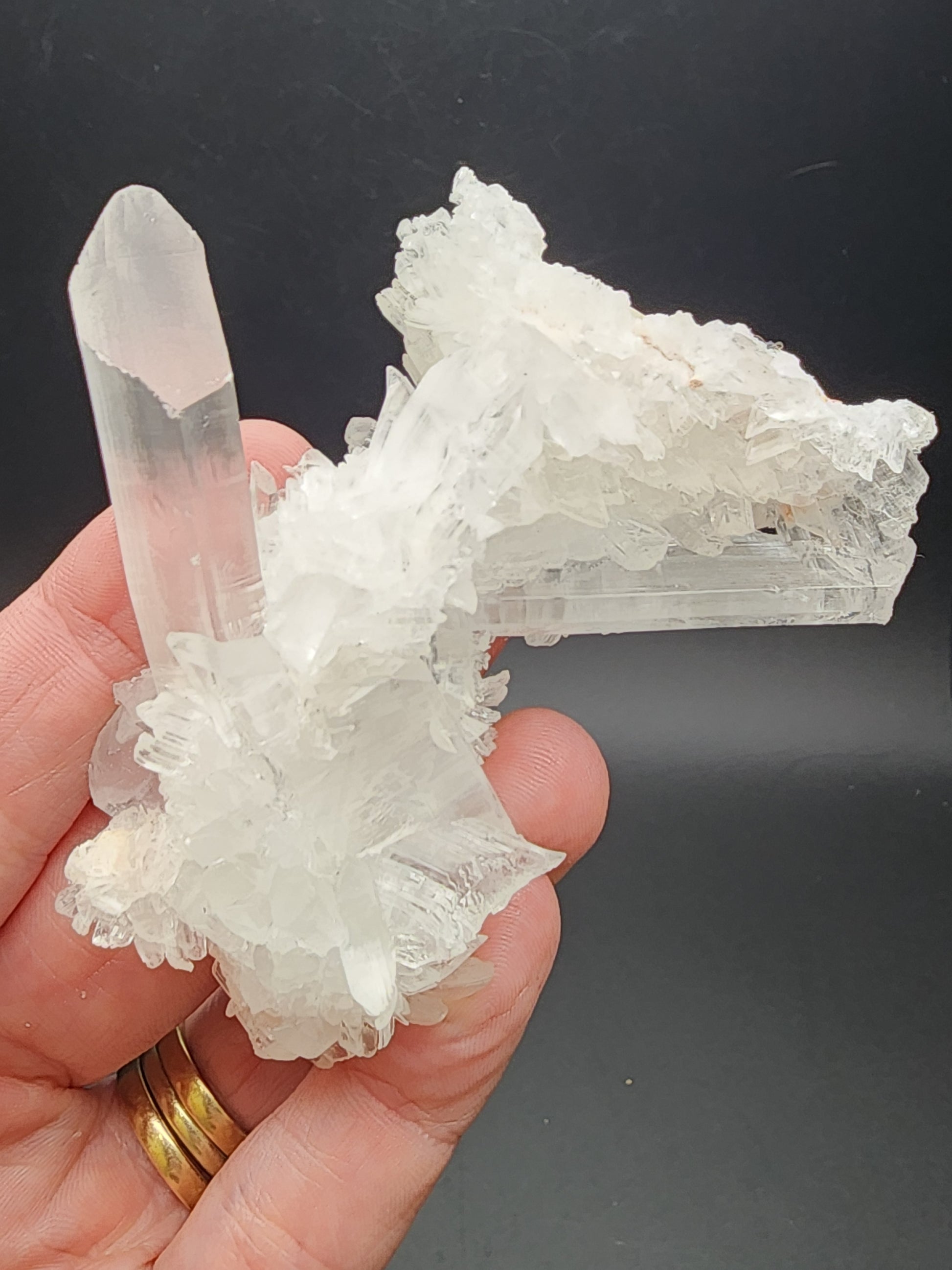 A hand holding a cluster of clear, white selenite crystals from The Crystalary. The selenite cluster includes large, elongated crystal points and smaller, intricate formations set against a dark background. These semi-transparent crystals sparkle brilliantly. The hand, adorned with two gold rings, showcases this exquisite piece akin to treasures found in the Naica Mine in Naica, Saucillo Municipality, Chihuahua, Mexico.