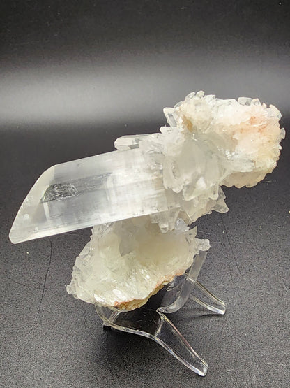 A clear, elongated Selenite crystal from The Crystalary's collection, originating from the Naica Mine in the Saucillo Municipality of Chihuahua, Mexico, is displayed on a transparent stand against a black background. The main crystal is encircled by a cluster of smaller, white crystalline formations that create a striking contrast with the dark backdrop.