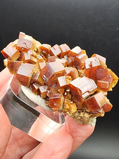 Close-up of a person holding The Crystalary's Vanadinite crystals from the Mibladen mining district, Midelt Province, Drâa-Tafilalet Region, Morocco (sku 3076), displayed on a small stand. The reddish-brown crystals have a shiny surface, vary in size, and form an intricate pattern against a blurred dark background.