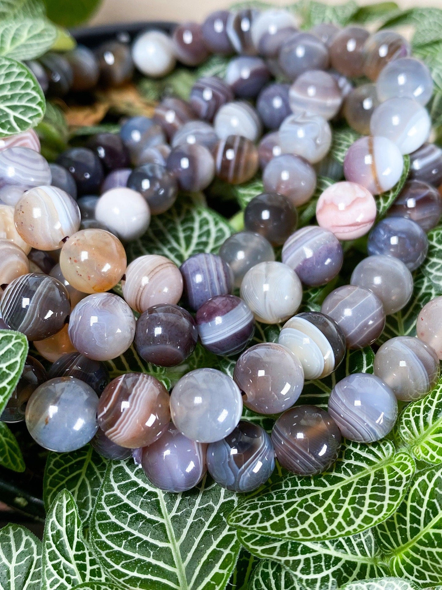 8mm Botswana Agate Crystal Bracelet -  - The Crystalary